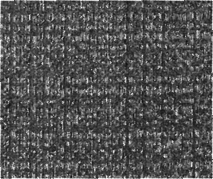 Natural Leather Structure Material Abstract Texture Background For Design Natural Color Skin Material Fashion Design Wallpaper. Black Wall Texture Background For Graphic Design And Web Design. photo