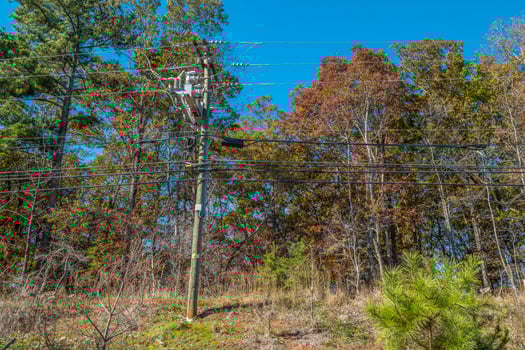 Power line with several cables photo