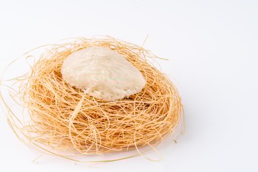 Raw edible birds nest materials for tradition chinese medicine. Swallow nest the traditional chinese delicacy. photo