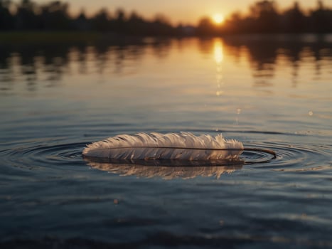 A white feather floating on a calm lake at sunrise. photo