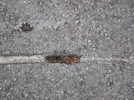 Scuff marks on the asphalt road from an accident photo