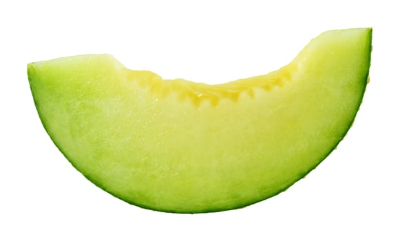 green cantaloupe melon slices photo