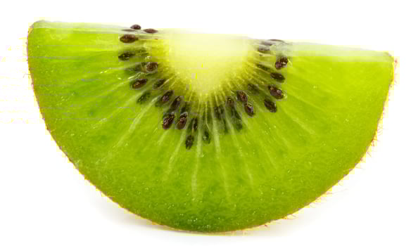 slice of kiwi photo