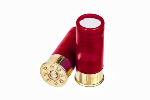 shotgun shells isolated on white. photo