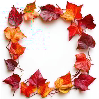Colorful autumn leaves arranged in a decorative frame showcasing vibrant red, orange, and yellow hues on a neutral background photo