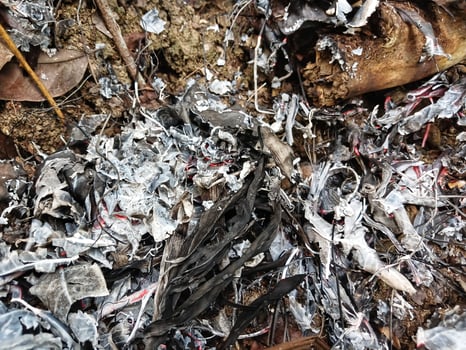 Background of dry leaves on the floor of a burning tropical forest. Bushfire. photo