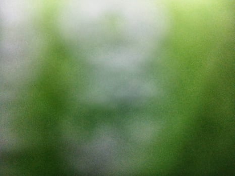 Abstract green background blur out of focus. photo