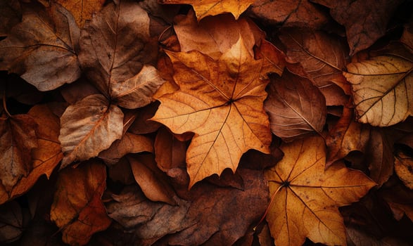 Pile of autumn leaves, deep golden tones, autumn background photo