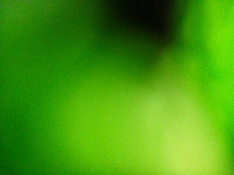 Abstract green background blur out of focus. photo