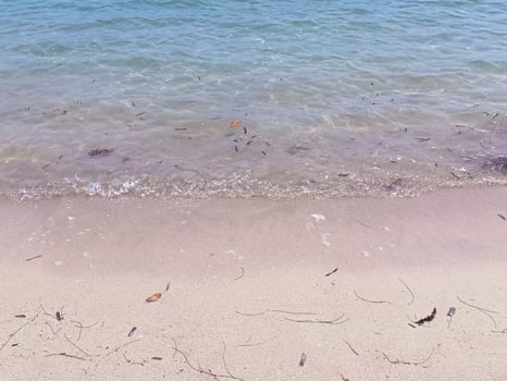 Soft blue ocean wave on fine sandy beach background photo