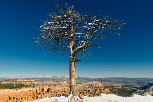 Bryce Canyon National Park in southwestern Utah photo