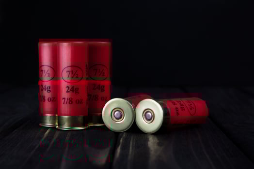 Cartridges for a shotgun on a black background photo
