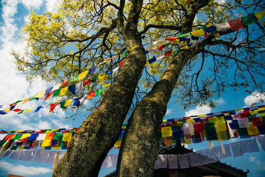 Colorful Buddhist prayer flags at blue sky in Kathmandu valley, Nepal photo
