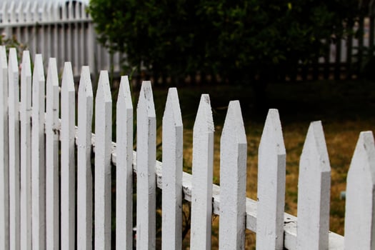 White Wooden Picket Fence Enclosing Yard With Plants photo