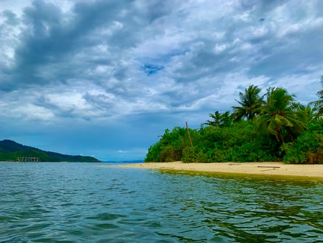 beach with coconut trees and small island. photo