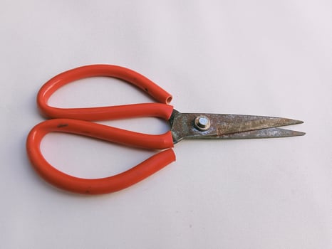 Red scissors cutting tool, close-up horizontal view, high angle shot photo