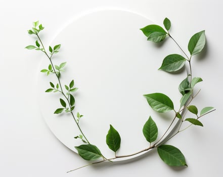 Minimalist Design With Green Leaves on a White Circular Background photo