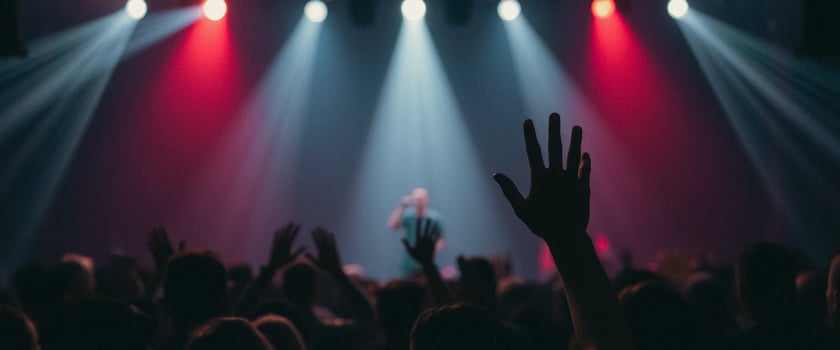 Silhouette of a Crowd at a Concert photo
