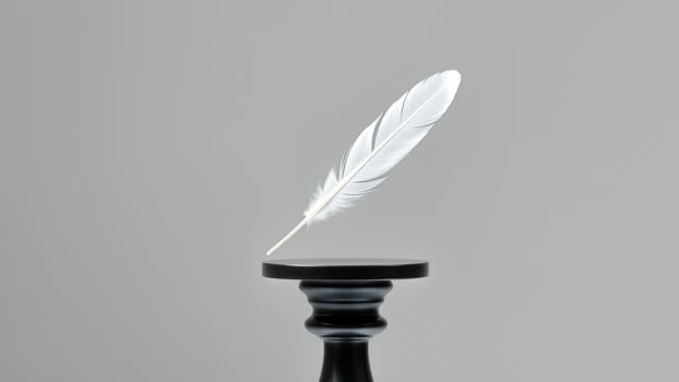 White Feather on a Black Stand photo