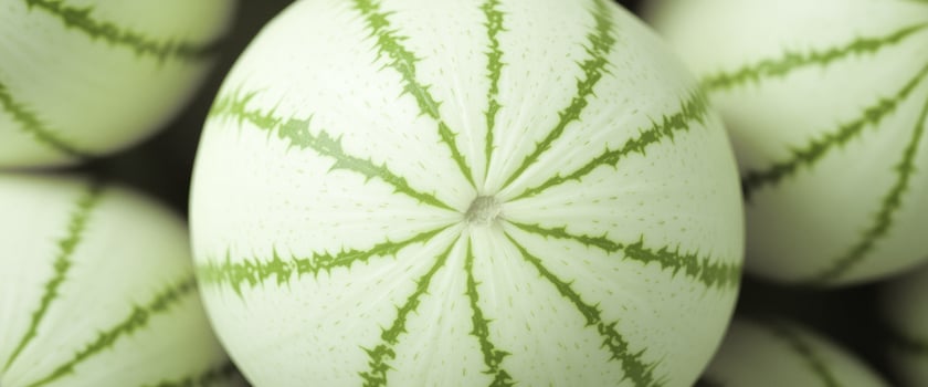 Closeup of a Green Watermelon Rind photo