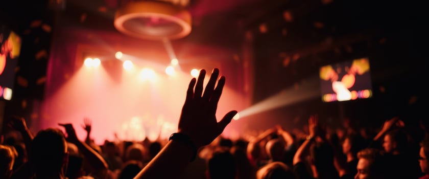 Crowd at a Concert photo