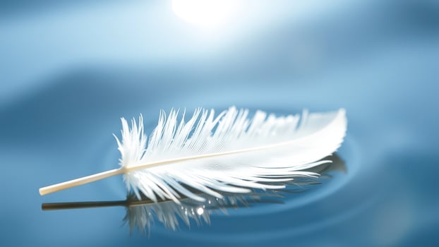 White Feather Floating on Blue Water photo