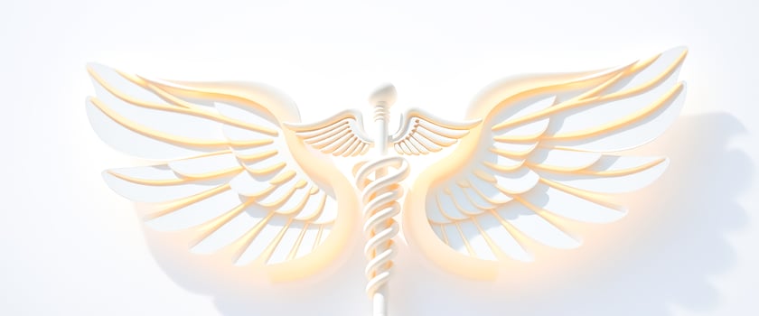 White Caduceus Wings photo