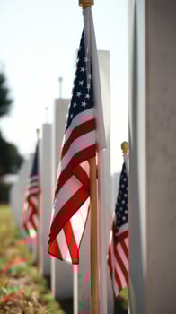 American Flags Waving in the Wind photo