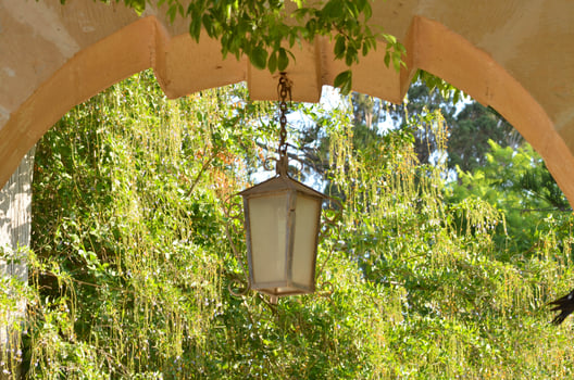 Ligth street on a Green garden sunny day photo