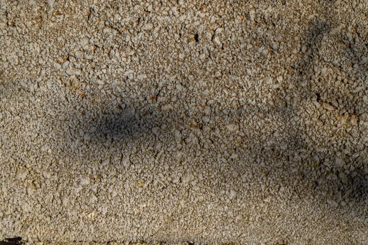 ray of sunshine on cinder block photo