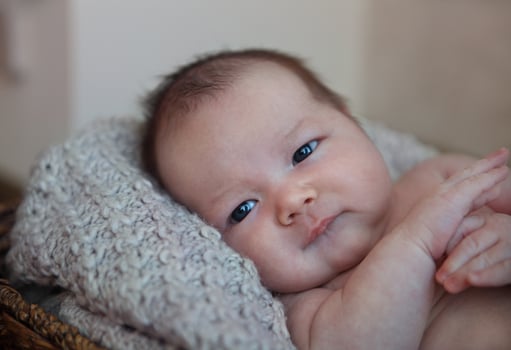 One month old baby boy in the basket photo