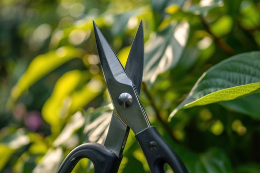 Scissors cutting through lush greenery in a sunlit garden during springtime photo