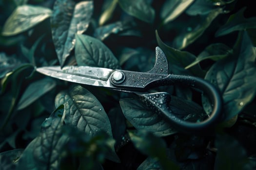 Scissors resting on wet green leaves in a dimly lit garden photo