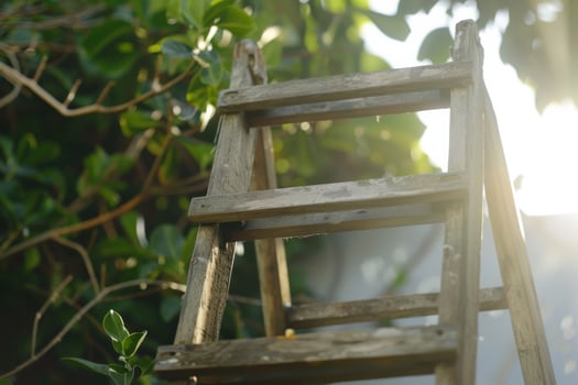 A weathered wooden ladder leans against a wall surrounded by lush green foliage on a sunlit day photo