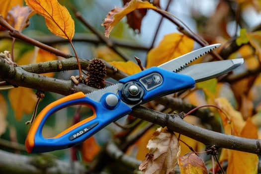 Pruning shears resting on a tree branch with autumn leaves in a garden photo