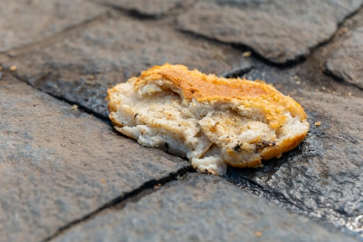 piece of bread is laying on the ground photo