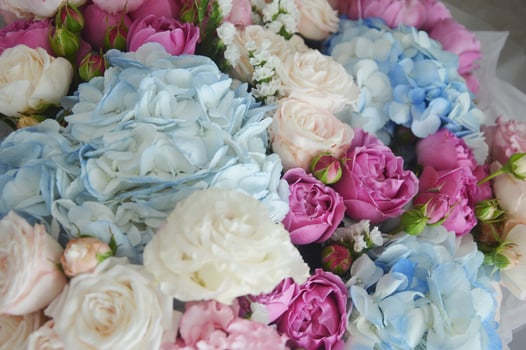 Beautiful delicate floral background. White, light blue, pink roses and hydrangeas. Fragment of a flower bouquet. photo