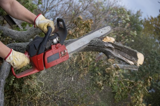 Person using a chainsaw to cut a log photo