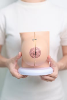 Woman holding Breast Anatomy model. Breast Augmentation Surgery, October Breast Cancer Awareness month, Pregnant, Diagnosis, Beauty woman enlargement and medical concept photo