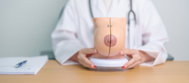 Doctor with Breast Anatomy model. Breast Augmentation Surgery, October Breast Cancer Awareness month, implant, Diagnosis, Beauty woman enlargement and medical education concept photo