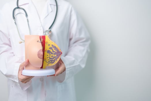 doctor holding Breast Anatomy model. Breast Augmentation Surgery, October Breast Cancer Awareness month, Pregnant, Diagnosis, Beauty woman enlargement and medical concept photo