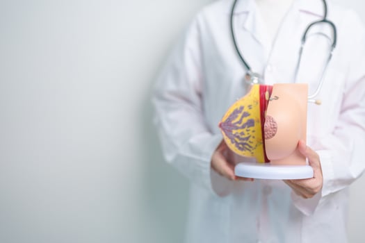 doctor holding Breast Anatomy model. Breast Augmentation Surgery, October Breast Cancer Awareness month, Pregnant, Diagnosis, Beauty woman enlargement and medical concept photo