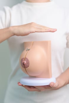 woman hand cover Breast Anatomy model. Breast Augmentation Surgery, October Breast Cancer Awareness month, implant, Diagnosis, Beauty woman enlargement and medical education concept photo