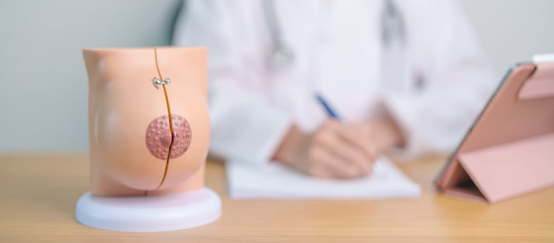 Doctor with Breast Anatomy model. Breast Augmentation Surgery, October Breast Cancer Awareness month, implant, Diagnosis, Beauty woman enlargement and medical education concept photo
