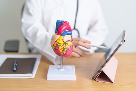 Doctor with human Heart anatomy model and tablet. Cardiovascular Diseases, Atherosclerosis, Hypertensive Heart, Valvular Heart, Aortopulmonary window, world Heart day and health concept photo