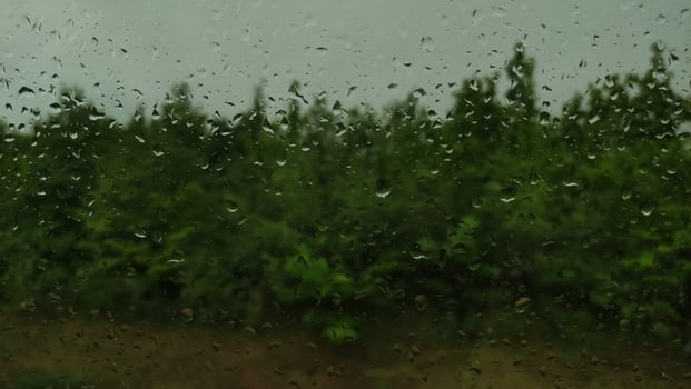 Lush green forest standing tall under cloudy sky drops of rain on the car window photo