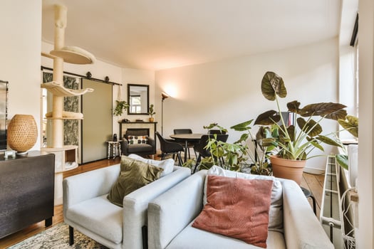 A living room with a cat tree and a couch photo