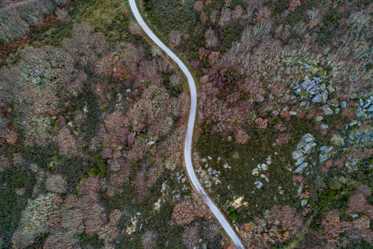 drone aerial top view of a deciduous mountain forest and a winding road photo