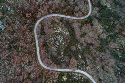 drone aerial image of a deciduous mountain forest and a winding road photo