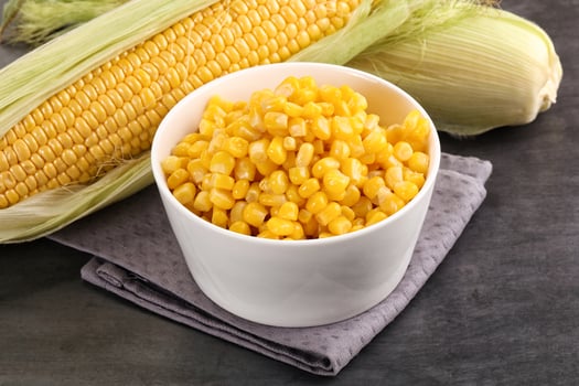 Canned sweet young corn grain photo